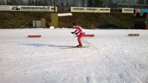 Villen vauhdikasta Wassua