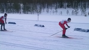 Villen syvää tasuria